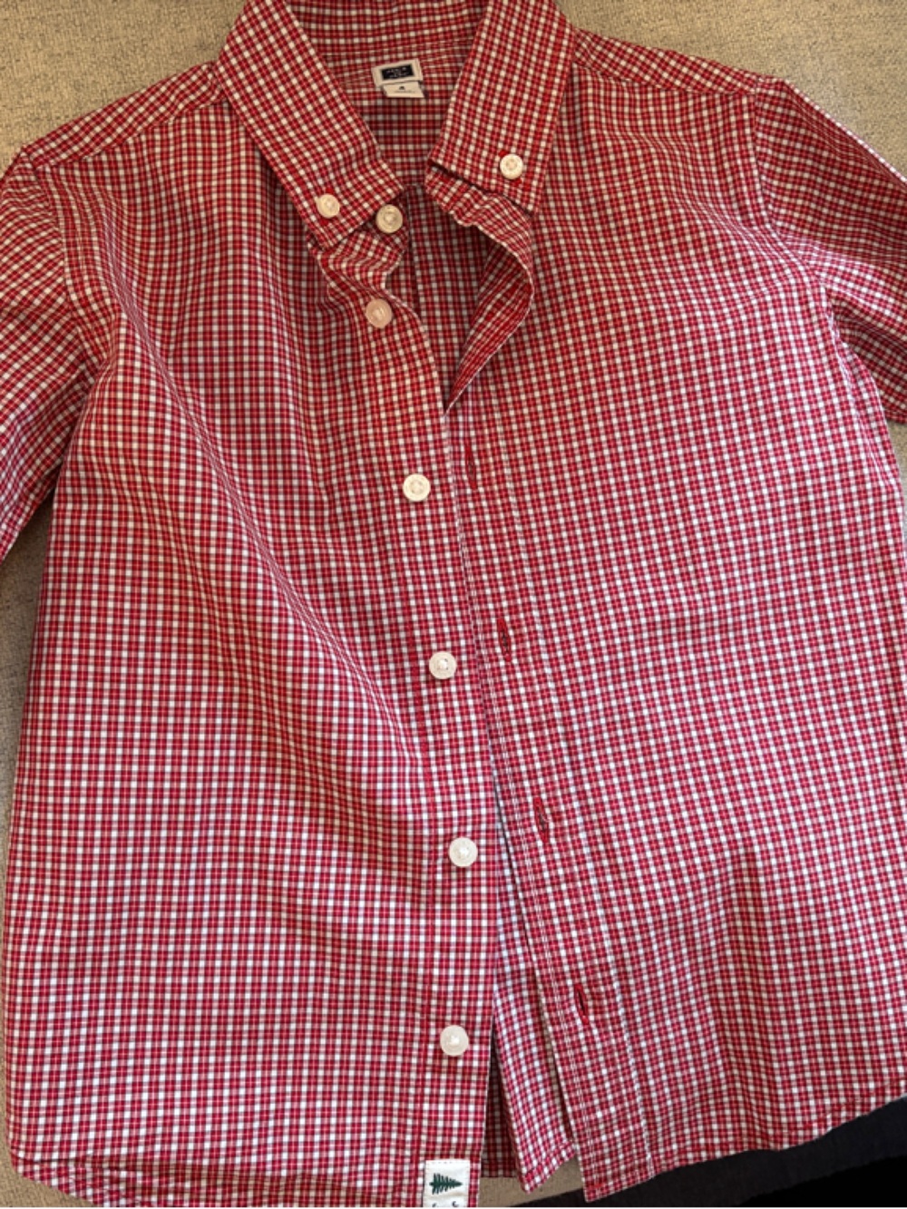 Janie and Jack Red and White Gingham Button-Down Shirt boys 4 4T EUC